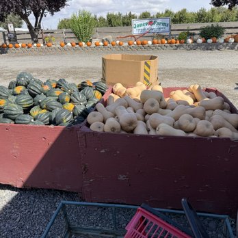 Jones Farms - Squashes - Fruits & Veggies Near Me - Granger, Washington Jones Farms - Squashes - Fruits & Veggies Near Me - Granger, Washington