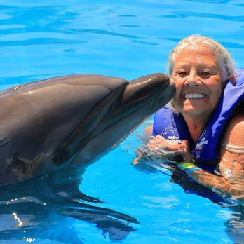 Cabo Adventures - Kobe the awesome dolphin - Boat Tours Near Me - Cabo San Lucas, BCS Cabo Adventures - Kobe the awesome dolphin - Boat Tours Near Me - Cabo San Lucas, BCS
