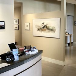 The Artists' Gallery