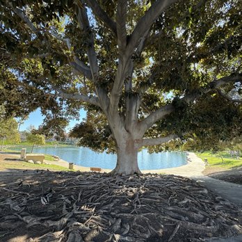Eisenhower Park - Parks Near Me - Orange, California