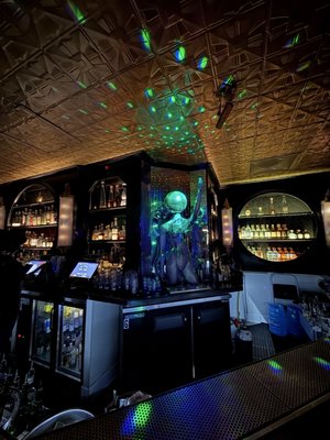 Kiss Kiss Bang Bang by null