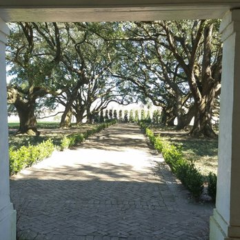 Whitney Plantation - Oak trees in front of the main house. - Museums Near Me - Wallace, Louisiana Whitney Plantation - Oak trees in front of the main house. - Museums Near Me - Wallace, Louisiana