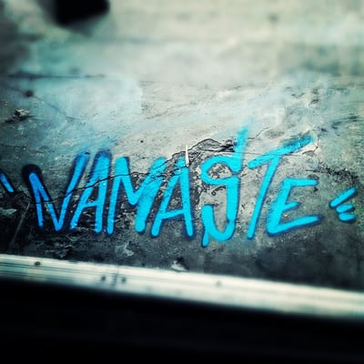 One Down Dog by null