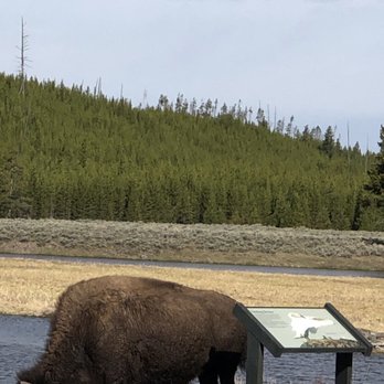 Madison - Right across bridge in Madison valley - Landmarks & Historical Buildings Near Me - Yellowstone National Park, Wyoming Madison - Right across bridge in Madison valley - Landmarks & Historical Buildings Near Me - Yellowstone National Park, Wyoming