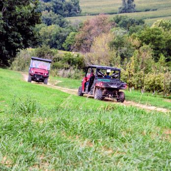 Terrapin Orchards - Pick Your Own Farms Near Me - Elizabeth, Illinois