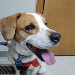 Mishawaka Animal Care Center