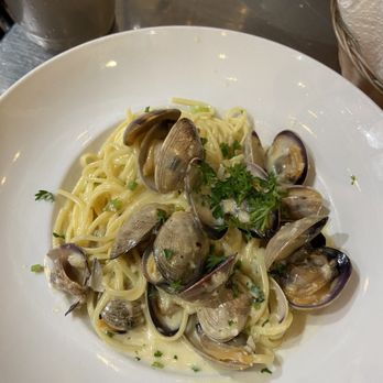 Sotto Mare - Spaghetti Linguine With Manila Clams - Seafood Near Me - San Francisco, California Sotto Mare - Spaghetti Linguine With Manila Clams - Seafood Near Me - San Francisco, California