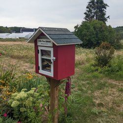 Little Free Library 138138 - Little Free Library 138138, Windham
