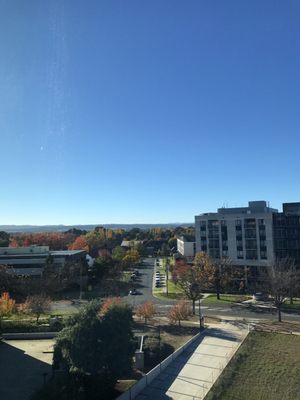 Little National Hotel Canberra by null