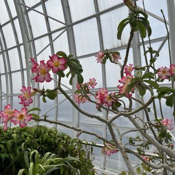 Myriad Botanical Gardens - Botanical Gardens Near Me - Oklahoma City, Oklahoma