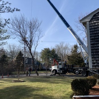 Palaza & McDonough Tree Service - No damage from massive Crane in tight spot! - Tree Services Near Me - Whitman, Massachusetts Palaza & McDonough Tree Service - No damage from massive Crane in tight spot! - Tree Services Near Me - Whitman, Massachusetts