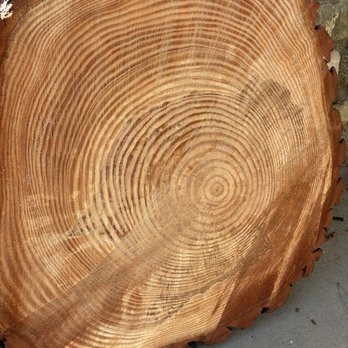 JBS Tree Care - JB's took down a pine that was hanging over the house. It was very sad for us to take the tree down. They kindly gave us a cut of our tree! - Tree Services Near Me - Pomona, California