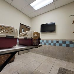 Inspirada Animal Hospital - Cat exam room, with scratching post