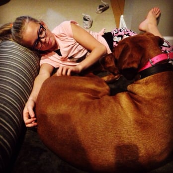 Dog Guru - Girls best friend, amazing with kids!!! - Pet Training Near Me Dog Guru - Girls best friend, amazing with kids!!! - Pet Training Near Me