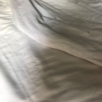 Hotel RL Baltimore Inner Harbor - Hairs in my bed - Hotels Near Me - Baltimore, Maryland Hotel RL Baltimore Inner Harbor - Hairs in my bed - Hotels Near Me - Baltimore, Maryland