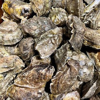 Spicy Heads Crawfish Co. - a pile of oysters - Cajun/Creole Near Me - Nashville, Tennessee Spicy Heads Crawfish Co. - a pile of oysters - Cajun/Creole Near Me - Nashville, Tennessee