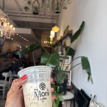 The Morii Coffee - Cafes Near Me - Houston, Texas The Morii Coffee - Cafes Near Me - Houston, Texas