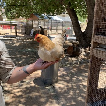 Reptacular Animals - Party & Event Planning Near Me - Sun Valley, California Reptacular Animals - Party & Event Planning Near Me - Sun Valley, California