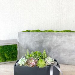 Kona Garden
$135