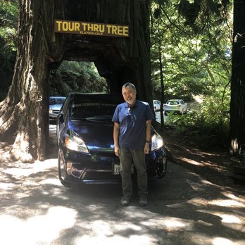 Tour Thru Tree - Tour Thru Tree - Local Flavor Near Me - Klamath, California