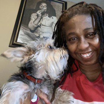 All About Paws - Me and Marley - Pet Groomers Near Me - Hillside, New Jersey