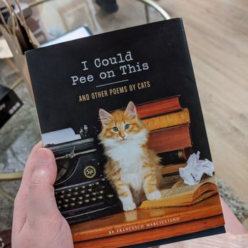 Crooked Tail Cat Cafe - One of the cute books they have to read in the cafe area. - Pet Adoption Near Me - Greensboro, North Carolina