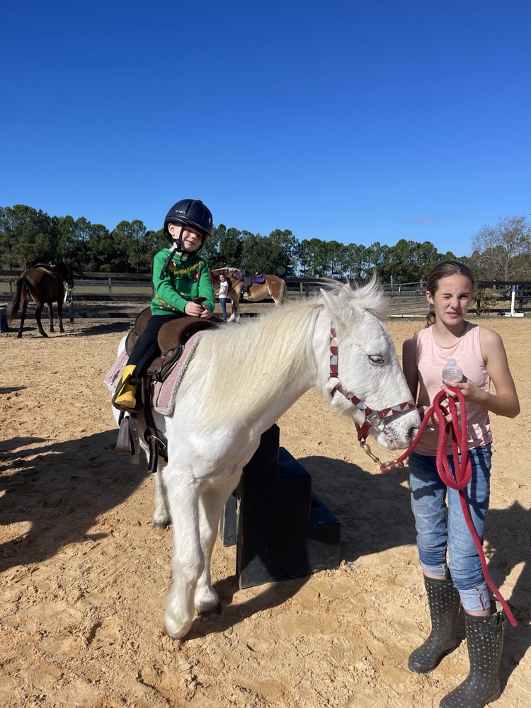DREAMCATCHER HORSE RANCH AND RESCUE CENTER 124 Photos & 16 Reviews