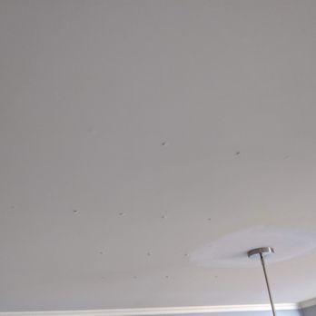 Attic Bros - No problems with the cleanup or the electrical work, but the big installation crew they sent up was just too much - nail pops everywhere... - Insulation Installation Near Me - Santa Clara, California Attic Bros - No problems with the cleanup or the electrical work, but the big installation crew they sent up was just too much - nail pops everywhere... - Insulation Installation Near Me - Santa Clara, California