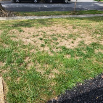 Agro Lawn - Lawn Services Near Me - Elkridge, Maryland