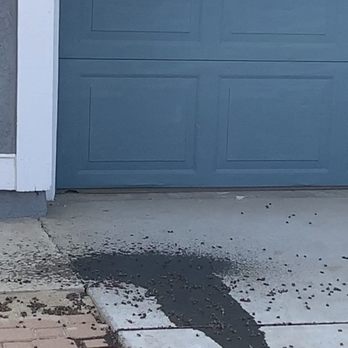 Bee Guy Travis - Honey on driveway. - Pest Control Near Me - Menifee, California