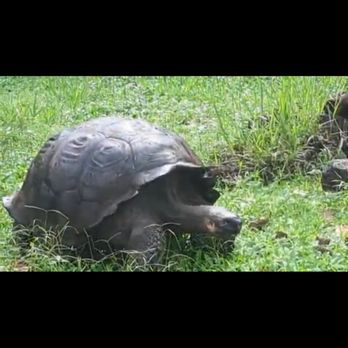 Internet Tours - Galapagos! - Travel Services Near Me - Culver City, California Internet Tours - Galapagos! - Travel Services Near Me - Culver City, California