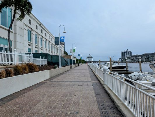 Tampa Riverwalk by null