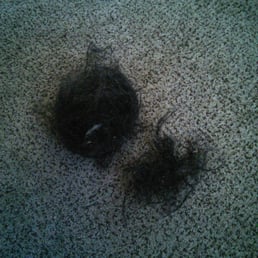 Hair from one room after "desheading" Hair from one room after "desheading"