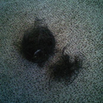 Riverside Grooming - Hair from one room after "desheading" - Pet Groomers Near Me - Riverside, California