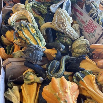 Wright's Farm - Fruits & Veggies Near Me - Gardiner, New York
