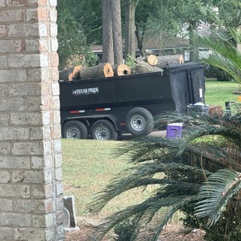 Texas Tree Masters - One of the oaks rotting from the inside out. - Tree Services Near Me - Katy, Texas Texas Tree Masters - One of the oaks rotting from the inside out. - Tree Services Near Me - Katy, Texas