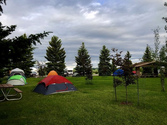 Bear Canyon Campground by null