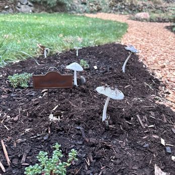 Fernwood Landscapes - Gardeners Near Me Fernwood Landscapes - Gardeners Near Me