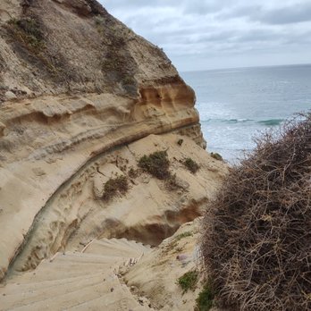 Torrey Pines State Reserve - Steps to the beach - Parks Near Me - La Jolla, California Torrey Pines State Reserve - Steps to the beach - Parks Near Me - La Jolla, California