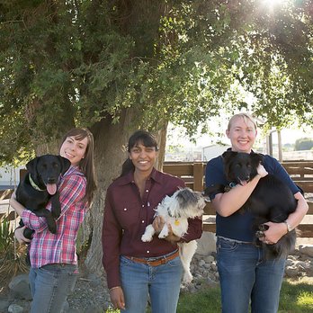 Morrison Veterinary Services - Veterinarians Near Me - Moses Lake, Washington Morrison Veterinary Services - Veterinarians Near Me - Moses Lake, Washington