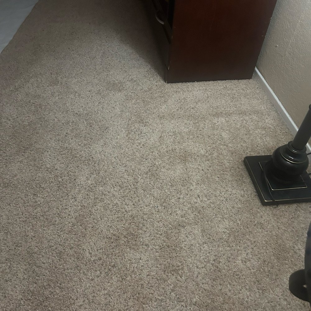 Action Carpet Cleaning - Living room - Carpet Cleaning Near Me - Torrance, California Action Carpet Cleaning - Living room - Carpet Cleaning Near Me - Torrance, California