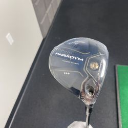GOLFTEC Foster City - The culprit
