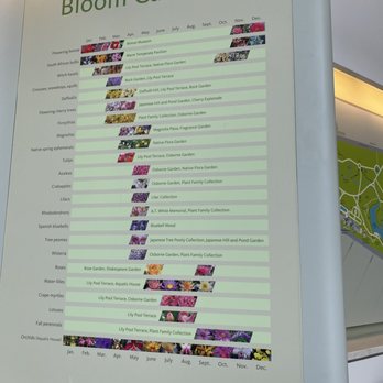 Brooklyn Botanic Garden - Bloom calendar - Botanical Gardens Near Me - Brooklyn, New York