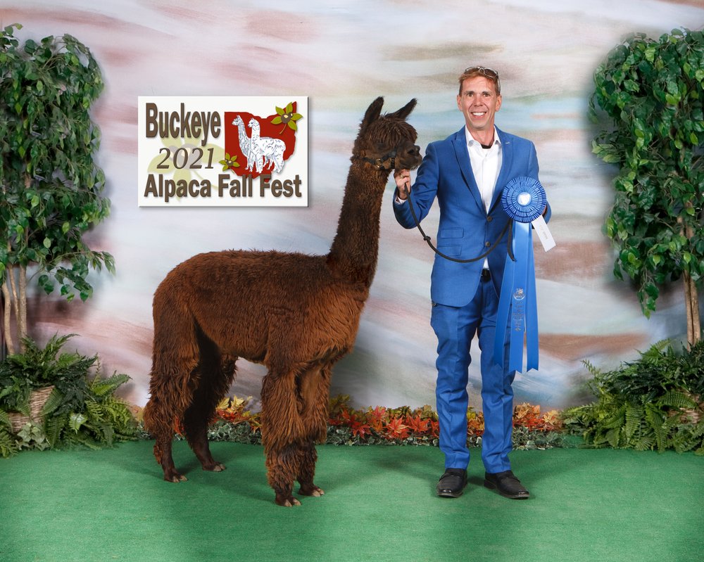 Owner with Alpaca