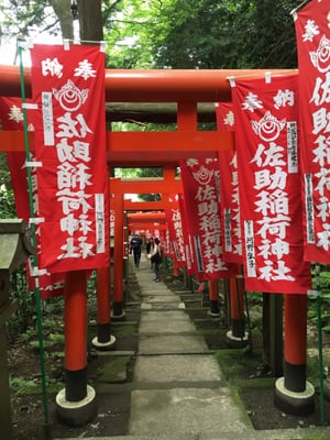 Sasuke Inari Shrine by null