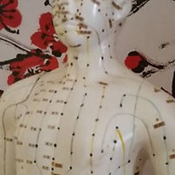 Christine Ellis Acupuncture & Massage - We specialize in Japanese acupuncture! Acupuncture is one branch of Eastern medicine, having a long history dating back thousands of years.