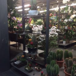 Floricoltura Melzi
