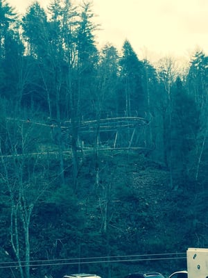 Smoky Mountain Alpine Coaster by null