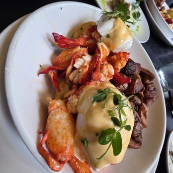 Bostonia Public House - Lobster Eggs Benedict - New American Near Me - Boston, Massachusetts