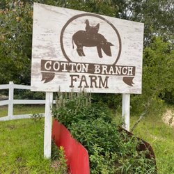 Cotton Branch Farm